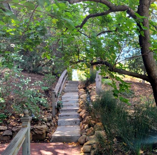 fellowship park walk 600